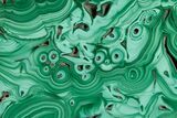 Polished Malachite Slab - Congo #194315-1